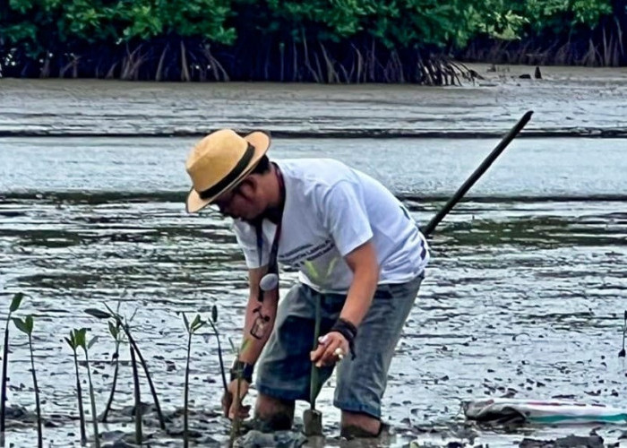 Dari Mi Mangrove hingga Peluang Carbon Trade, Potensi Ekonomi Hijau di Tangerang Utara