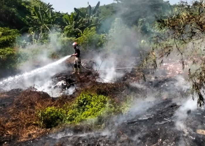 Kecamatan Tigaraksa Terbanyak, Kab. Tangerang Diterjang 20 Kebakaran dalam Sehari