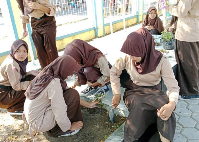 SMPN 7 Pasar Kemis Terus Melakukan Penghijauan Sekolah