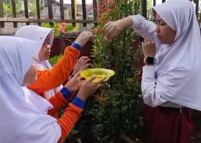 SDN Wanakerta IV Ciptakan Teh Merah untuk Minuman Herbal