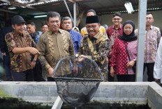 Kutil di Cimone Sukses Kembangkan Budi Daya Lele