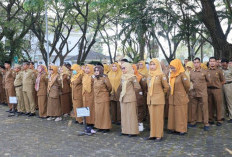 Pemkot Serang Targetkan Efisiensi Rp13 Miliar dari WFH