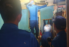 Damkar Tangsel Evakuasi Puluhan Binatang dari Permukiman