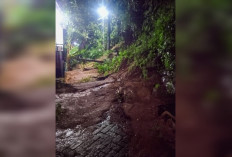 Tebing di Bumi Agung Sukatani Kembali Longsor