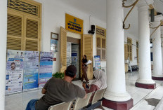 Realisasi Pajak Triwulan Pertama Capai 19,96 Persen