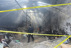 Kebakaran Gudang Pestisida Cemari Lingkungan, Ikan Mati Massal di Sungai Cisadane