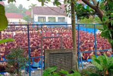 Kebijakan SMPN 2 Solear untuk Siswa Kelas 9, Batasi Ekskul, Fokus TKA