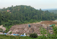 Hidup di Bawah Bayang-Bayang Sampah, Antara Dampak Lingkungan dan Kebutuhan Hidup