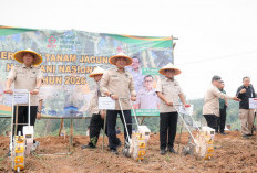 HKTI Sebut MBG Beri Kepastian Pasar Hasil Petani