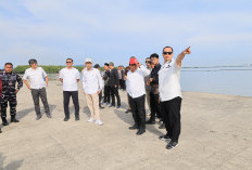 Pantura Terancam Tenggelam, Kota Serang Masuk Prioritas PSN