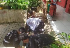 SDN Cimone 6 Ajarkan Sikap Kompak Antar Siswa dan Guru