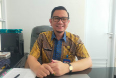 Pasien DBD di RSUD Tigaraksa Melonjak 30 Persen