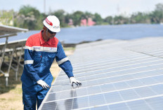 Di Tengah Gejolak Energi Dunia, Pertamina Dorong Energi Terbarukan