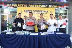 Polresta Tangerang Sikat Bandar Tembakau Sintetis Antar Provinsi, Berhasil Sita Paket Besar 2 Kg 