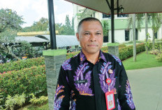 Satu Semester, DBD Capai 390 Kasus  