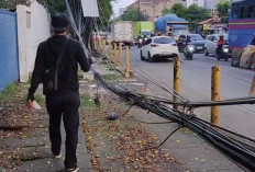 Kesemrawutan Kabel di Tepi Jalan Raya Serang, Kecemasan Warga yang Tak Kunjung Terurai