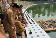 Tangsel Tak Punya Sawah, Tandon Ciater Disulap Jadi Lahan Padi