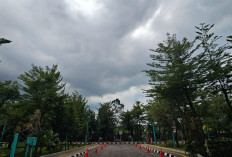 Waspada Angin Kencang Terjadi Jelang Natal