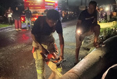 Cuaca Ekstrem Melanda Kabupaten Tangerang, Kawasan Adiyaksa Solear Porak-poranda