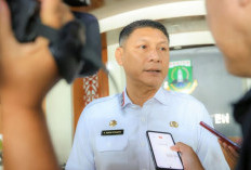 Pemprov Kaji Pencabutan Moratorium Tambang