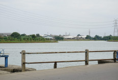 Pintu Penggerak Roda Ekonomi Desa, Potensi Ekonomi Situ Pondok Kecamatan Sindang Jaya