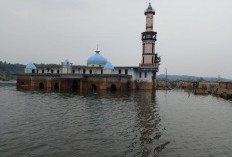 Melihat Dari Dekat Kampung Tenggelam di Waduk Karian Muncul Kembali, Menjadi Berkah Bagi Warga Waduk Karian