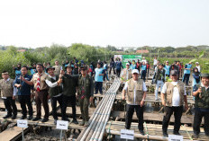 Tanam 10 Ribu Mangrove di Ketapang Mauk, Butuh Aksi Nyata Untuk Lingkungan Hidup