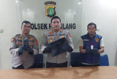 Bermodal CCTV, Polsek Pamulang Ringkus Pelaku Pencurian Rumsong