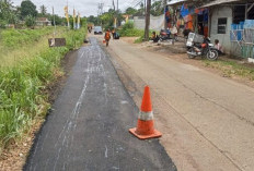 DBMSDA Lakukan Penanganan Darurat Cegah Kecelakaan, Tambal Lubang di Jalan Raya Daon