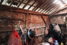 Program BSPS PKP Perbaiki 32 RTLH