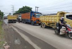 Truk Tambang Kembali Marak di Bojonegara, Camat Harapkan Pemprov Perkuat Pengawasan