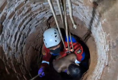 Kakek di Ciputat Ditemukan Tewas di Dalam Sumur