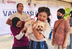 Warga Diimbau Waspada Rabies, Rutinkan Vaksinasi Hewan Peliharaan