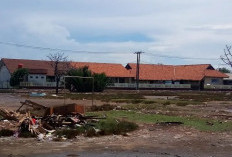 Sering Dilanda Rob, SDN Muara III Minta Pindah