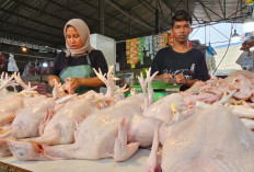 Jelang Nataru, Sejumlah Harga Bahan Pokok Naik