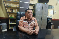 Dorong 3 Persen APBD untuk Tangani Sampah