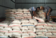 Stok Beras Aman Hingga Empat Bulan ke Depan