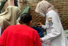 Tiga Bulan Kasus DBD di Kabupaten Tangerang Meningkat Capai 75 Kasus