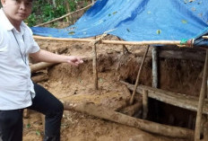 Pertambangan Emas Liar Diusulkan Jadi WPR