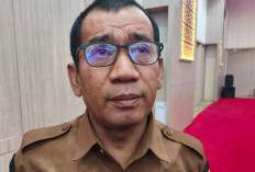 Lahan Sawah Banten Tergerus Industri, LBS Susut 7.000 Hektare