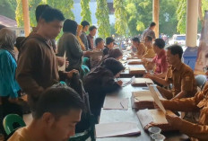 Ribuan Orang Serbu Lowongan Industri Kasemen