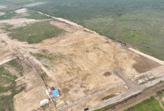Satu Investor Mulai Bebaskan Lahan di KIT