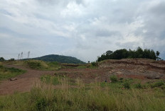 Ribuan Hektare Lahan di Kabupaten Serang Kritis 