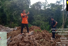 Gunung Kaupas Padarincang Longsor, Tak Ada Korban Jiwa