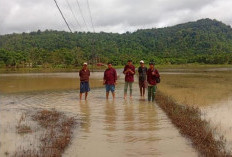 2.093 Hektar Sawah di Banten Terendam Banjir, 178,5 Hektare Alami Puso