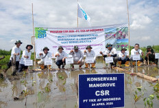 PT YKK AP Indonesia Tanam 5.000 Mangrove di Pesisir Tangerang