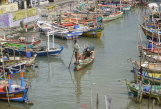 Berlayar Didasarkan Perhitungan, Nelayan Tahu Batas Bahaya, Meski Cuaca Buruk, Nelayan Mauk Tetap Melaut