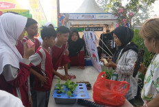 Forum KWT Manfaatkan Festival Cisadane untuk Edukasi Urban Farming