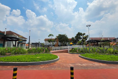 Tangsel Dilanda Panas Menyengat, BPBD Siapkan Langkah Antisipasi Kekeringan di Musim Kemarau