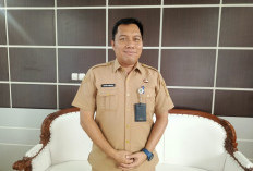 Pemkab Serang Dapat Bantuan 1.000 Kambing Kurban
